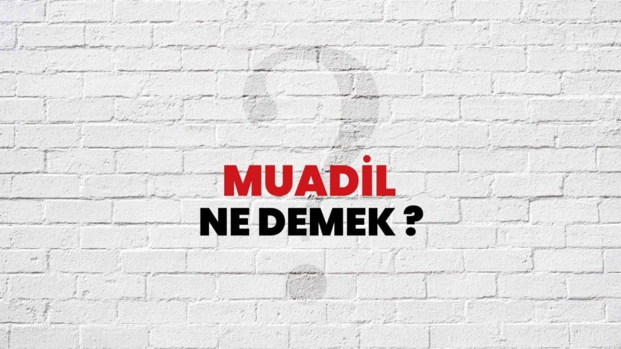 Muadil ne demektir?