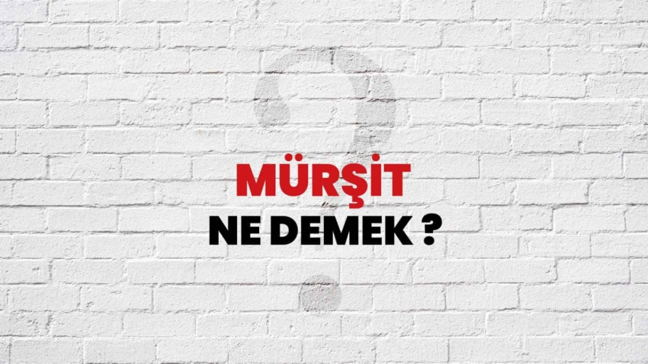 Mürşit Ne Demek?