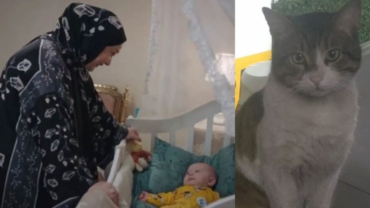 Kızılcık Şerbeti'nde 'Eros' göndermesi: Kimsesizdi diyenlere 'ben varım' de