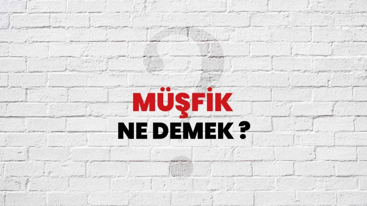 Müşfik Ne Demek: Türkçedeki Anlamı ve İfadesi