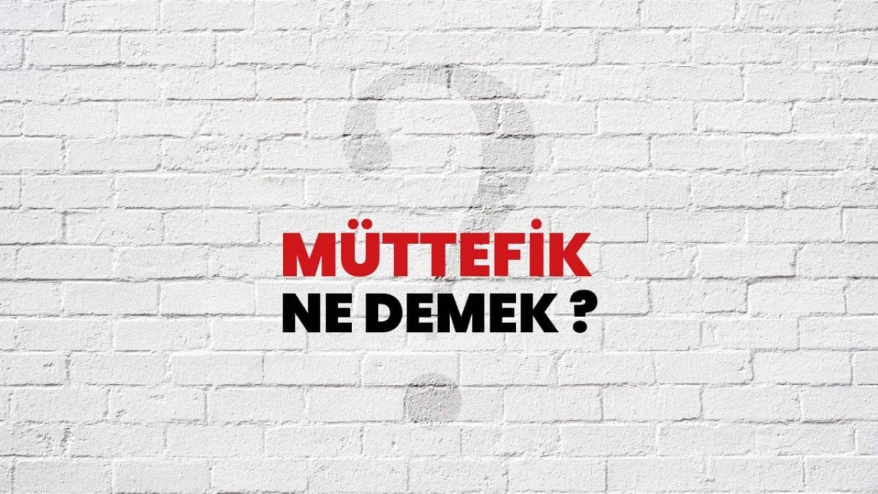 Müttefik Nedir? Türkçede Anlamı ve Önemi
