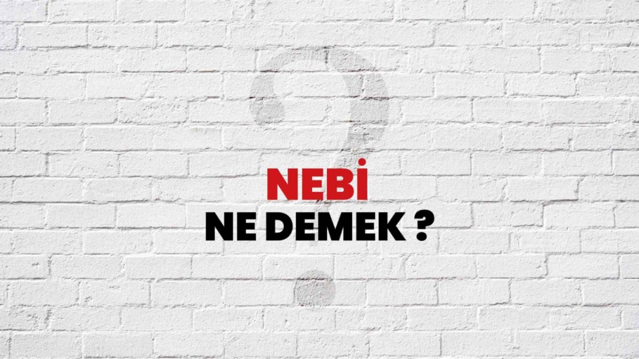 Nebi Ne Demek?