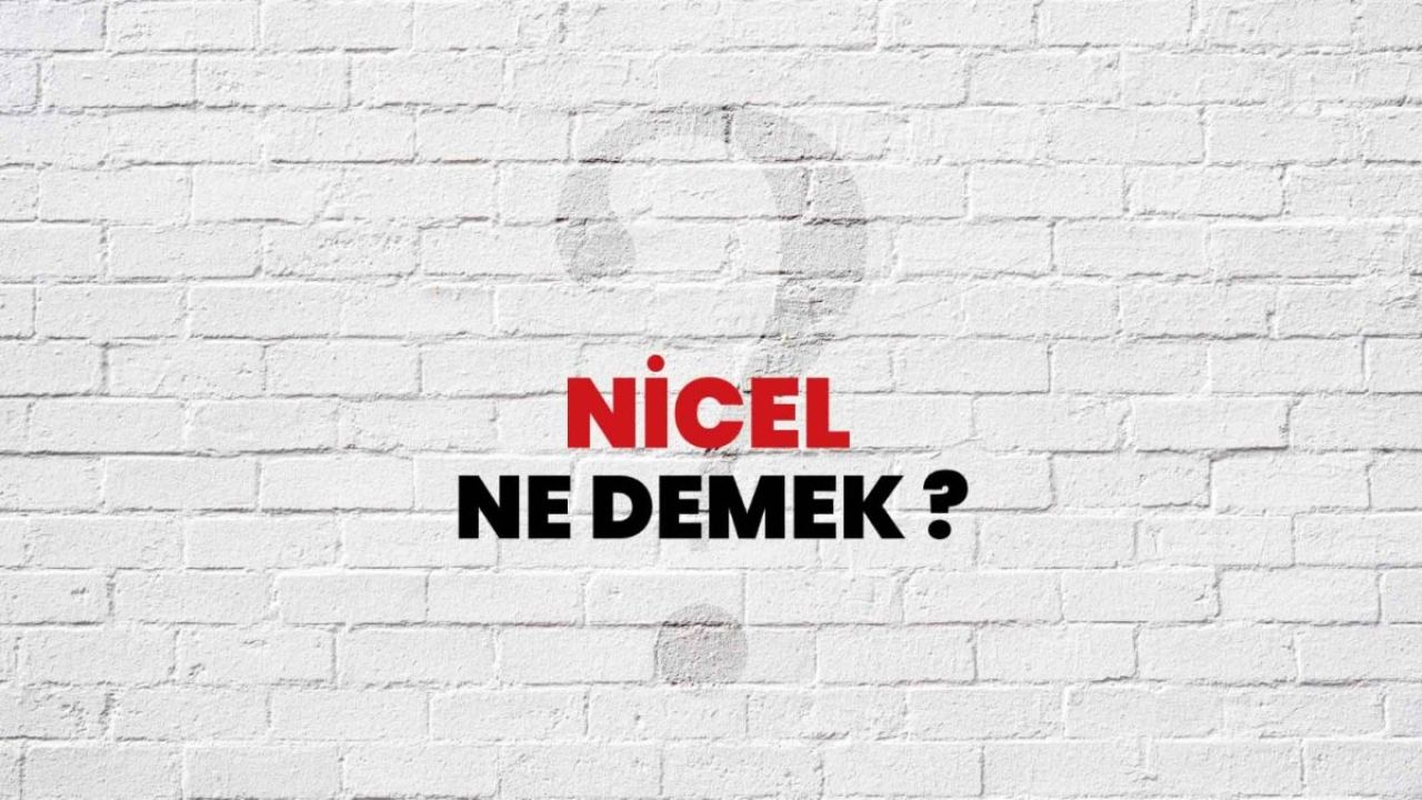 Nicel Ne Demek?