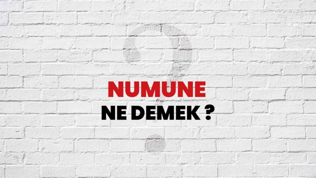 Numune Ne Demek?