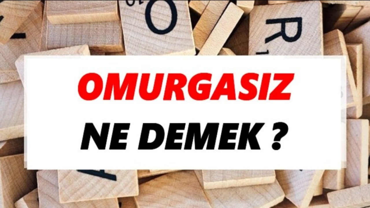 Omurgasızlar: Doğanın Görünmez Kahramanları