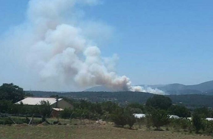 İzmir Urla'da yangın