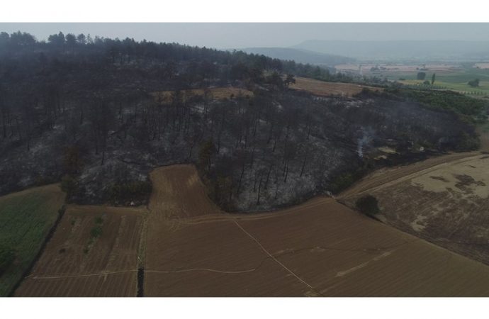 Gelibolu'daki yangının boyutu gün ağarınca ortaya çıktı