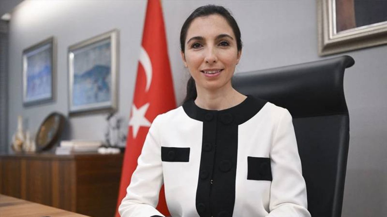 Hafize Gaye Erkan'la ilgili yeni bir iddia: OECD Türkiye Daimi Temsilcisi olarak atanacak