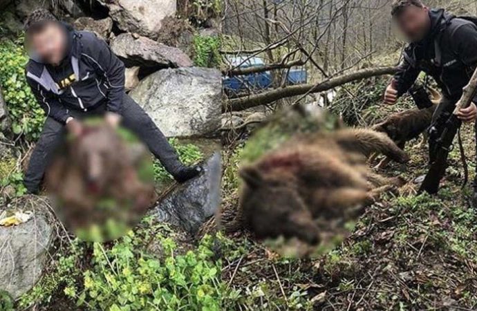 Yavru ayıya tüfekle vurup işkence yapan Tanju Çolak serbest bırakıldı