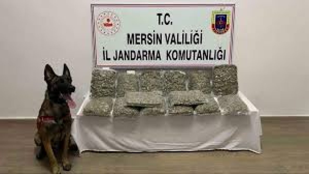 Mersin’de uyuşturucu operasyonu yapıldı! 5 tutuklama! Son dakika!
