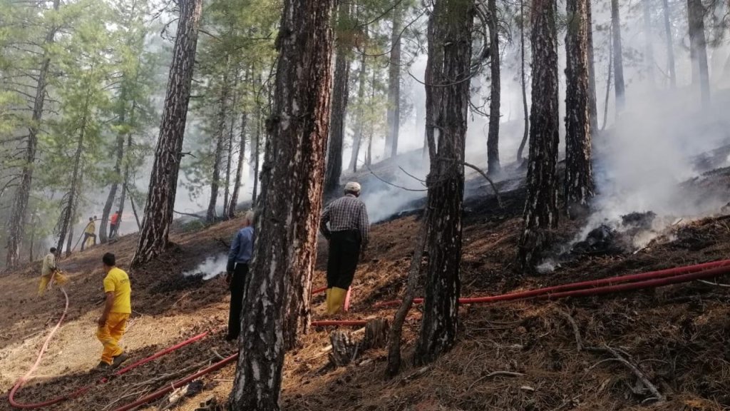 Kahramanmaraş'ta çıkan orman yangını kontrol altında