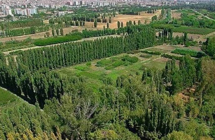 Ayasofya kararına üzerine Atatürk Orman Çiftliği için harekete geçildi