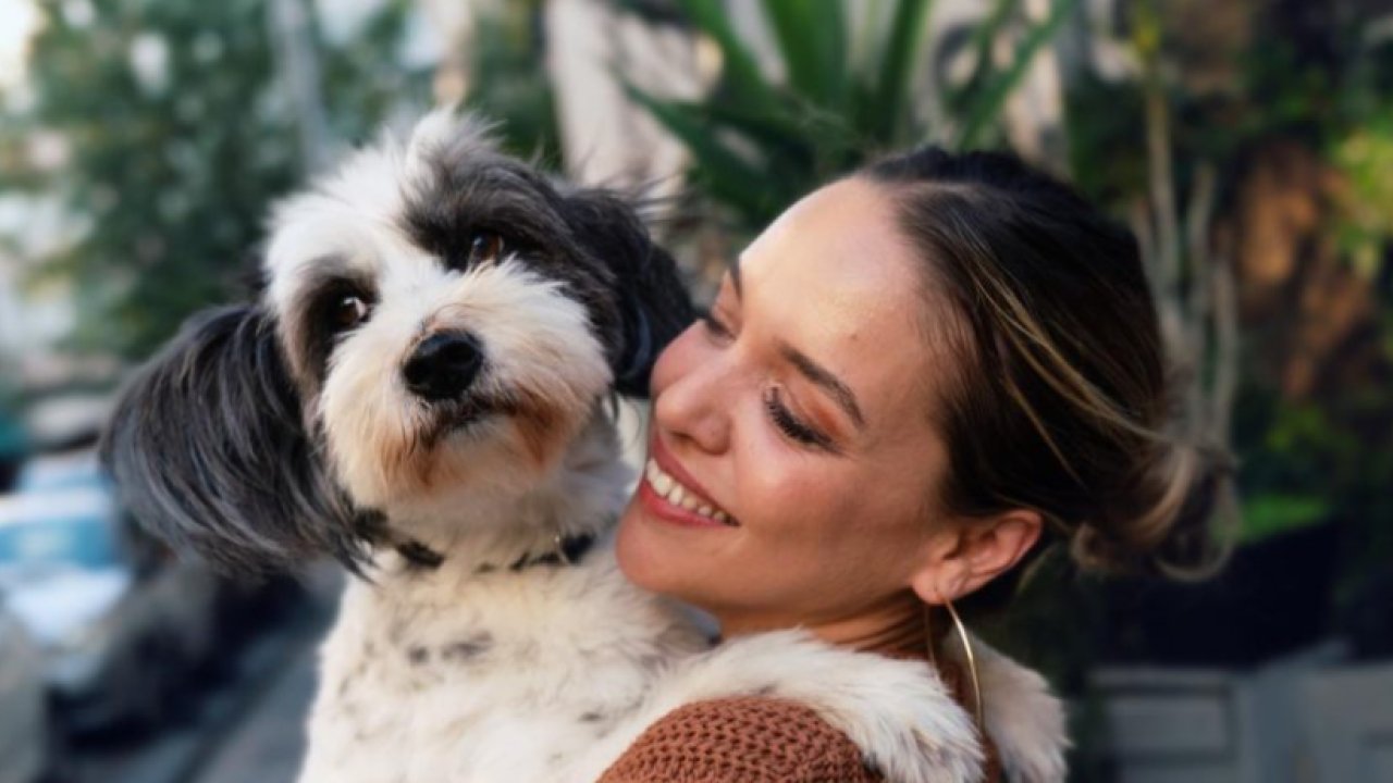 Oyuncu Seda Türkmen’den köpek katliamına dikkat çeken mektup