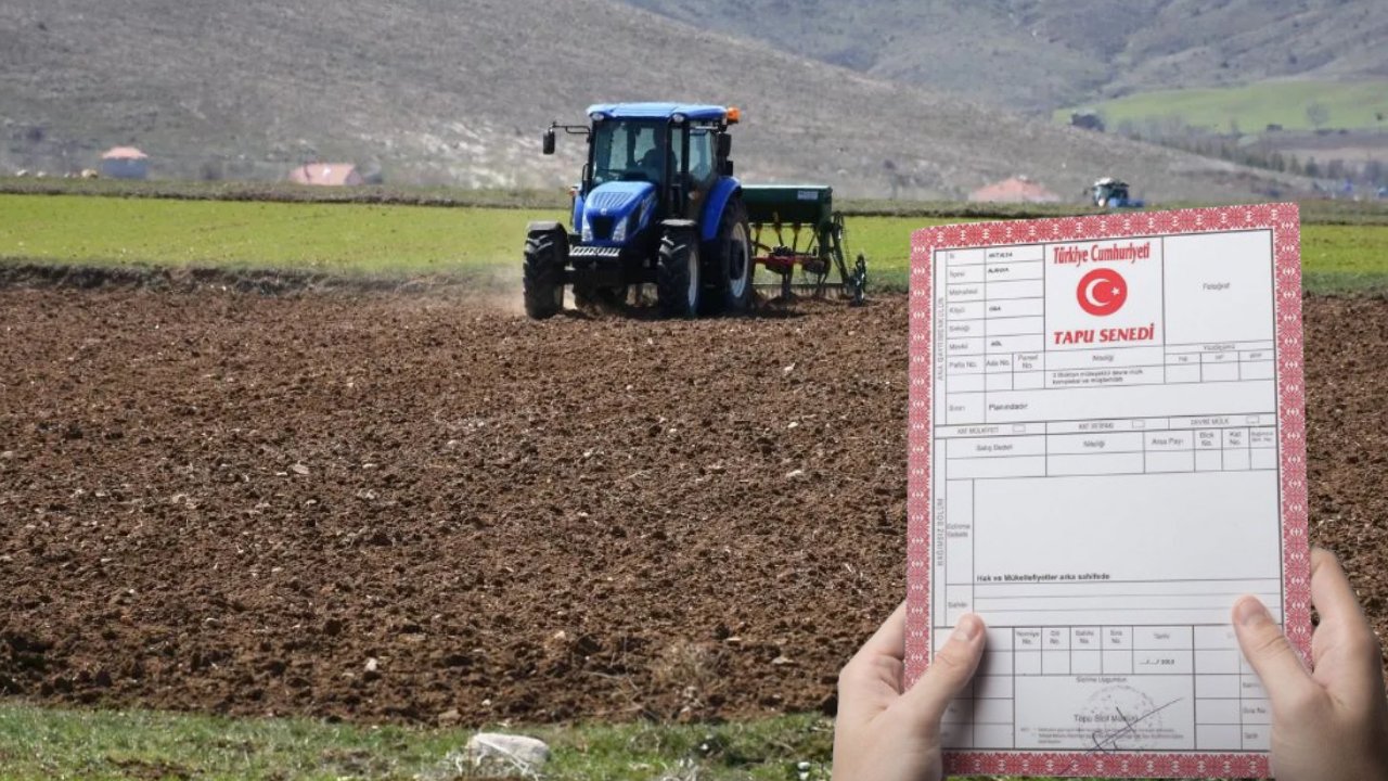 Tarla Sahiplerine Müjde: Devlet Maaş Bağlayacak!