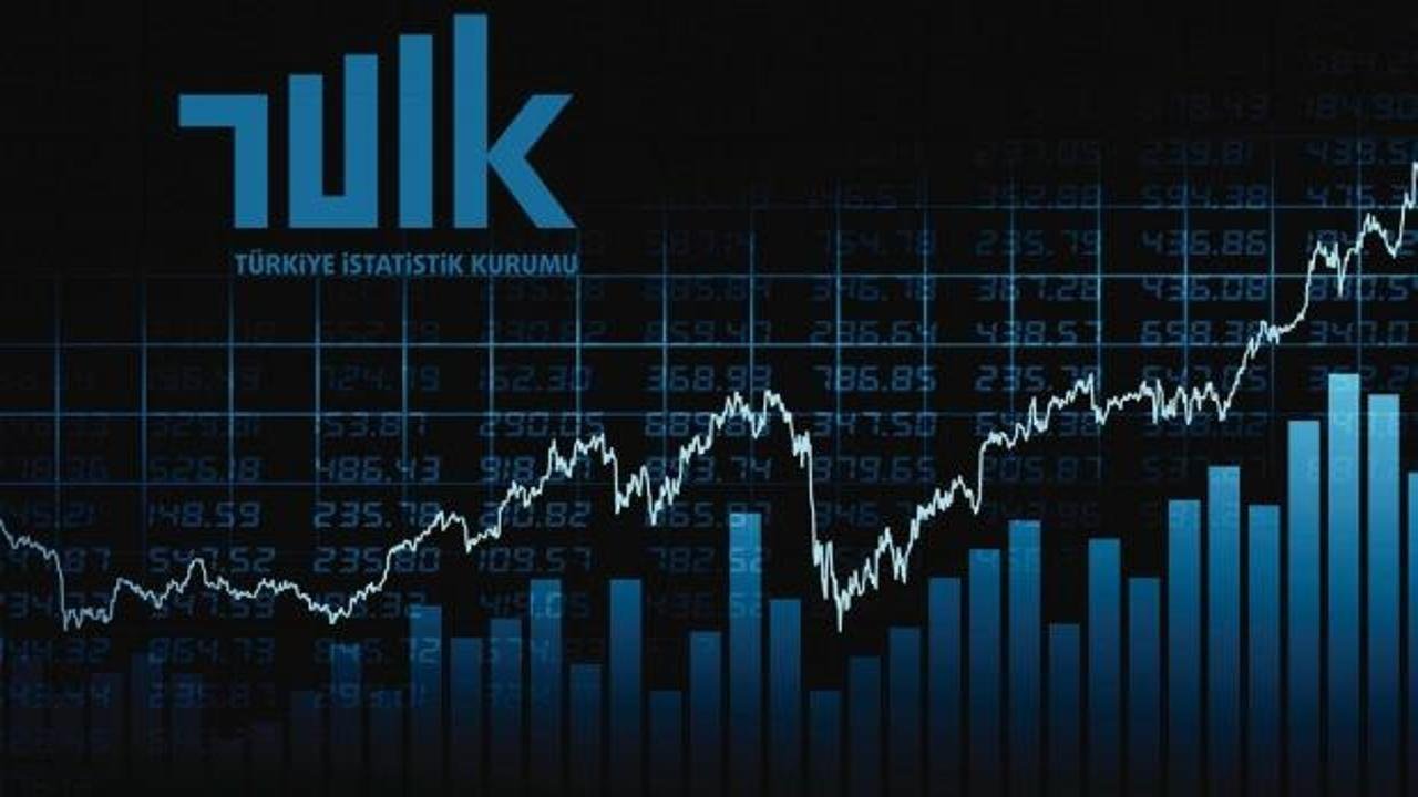TÜİK Ağustos 2024 Verileri: Hizmet Sektöründe Düşüş, Perakende ve İnşaatta Artış Görüldü