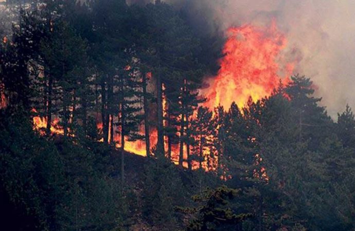 Türkiye’de son 24 saatte çıkan orman yangınlarının korkunç tablosu