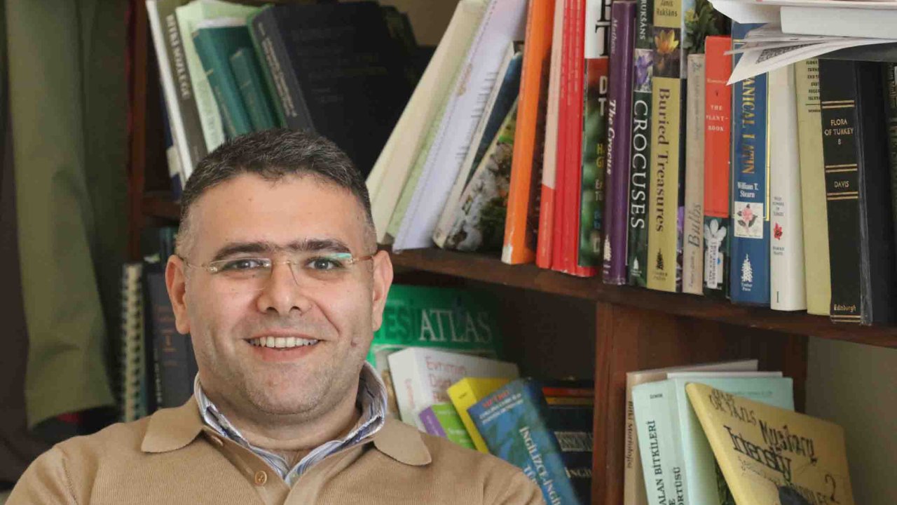 Prof. Dr. Osman EROL