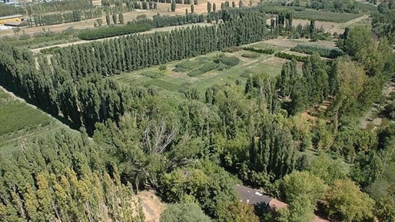 Atatürk Orman Çiftliği'nde Park Alanı Kiraya Verilecek