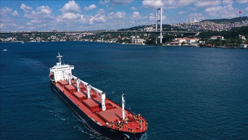 Esad Sonrası Suriye’ye Yardım: Ukrayna’dan 500 Ton Buğday Unu Gönderildi