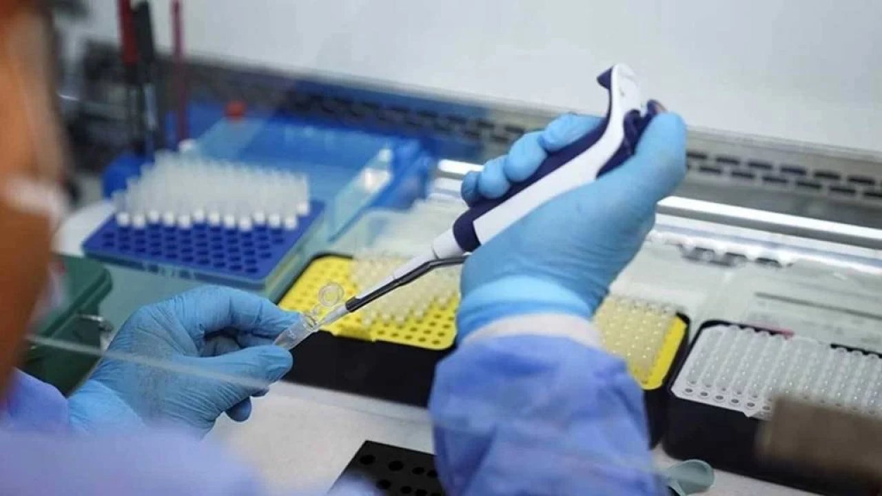 Yeni tehlikenin adı Marburg virüsü: 8 kişi hayatını kaybetti