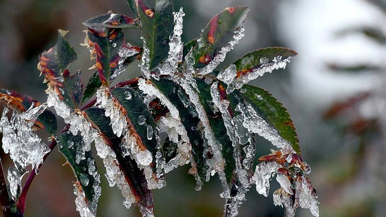 Meteoroloji'den İzmir ve Aydın İçin Kritik Uyarı! Şiddetli Hava Koşulları Geliyor