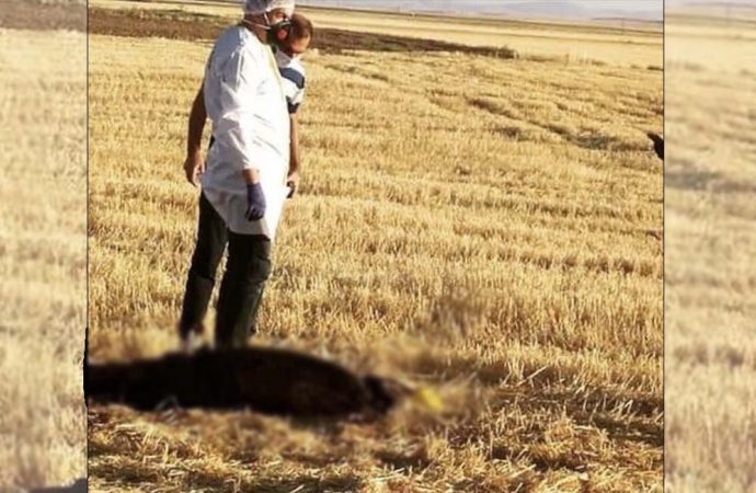 Konya'da erkek cesedi bulundu, üzerinde yanık izleri var