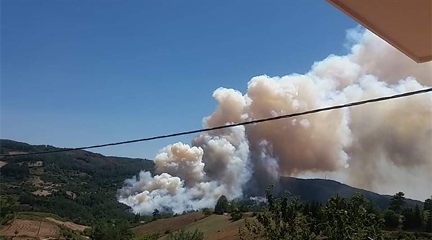 Adana Kozan'da orman yangını!