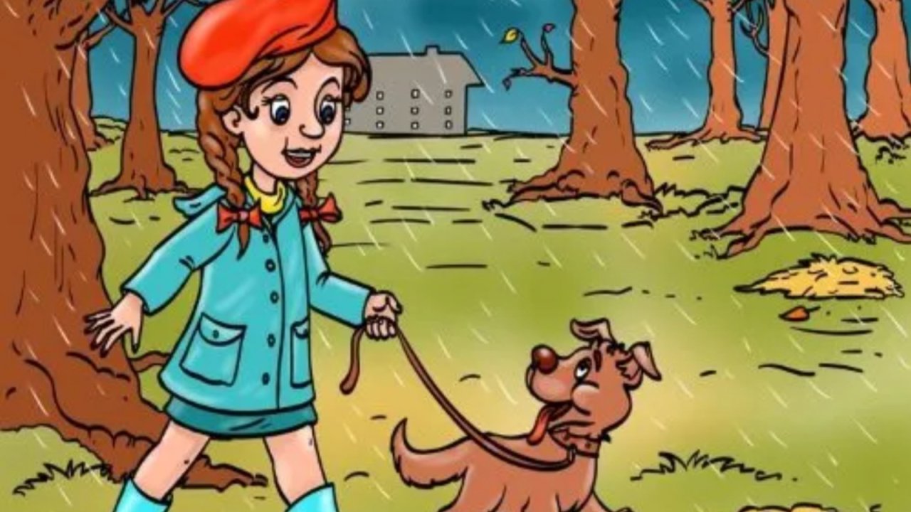 Bu Resimdeki Mantık Hatasını Bulmaya Çalışın! Sadece Zeki Olanlar Başarabilir