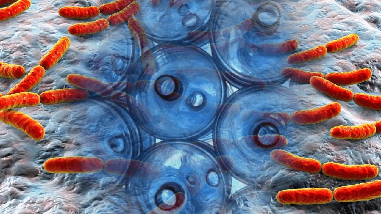 Her Gün Kullanıyoruz, Herkesin Elinde! Meğer Mikrop Kaynağıymış