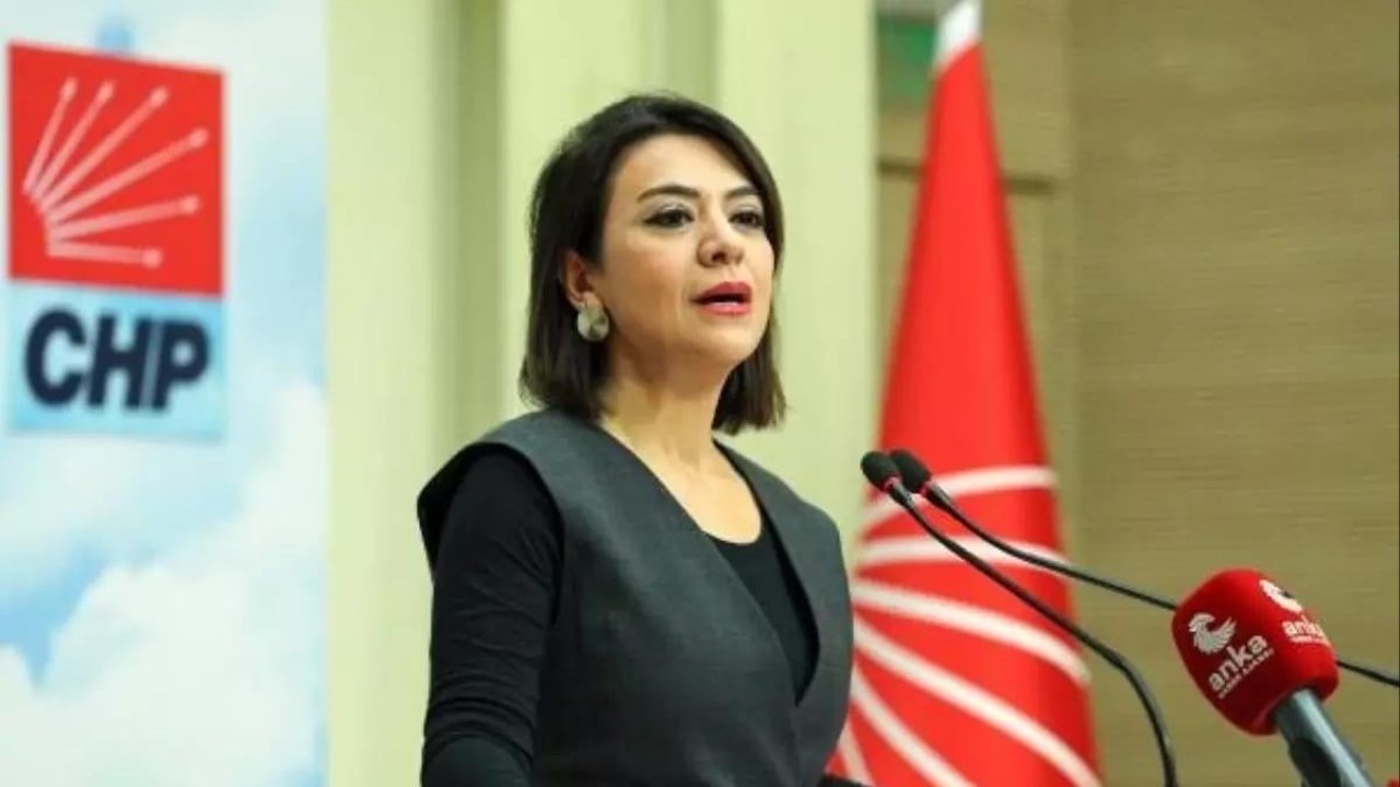 CHP'li Gamze Taşcıer'den 'normal doğum pankartı'na sert eleştiri