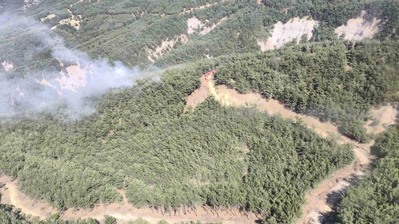 Gökçeada'da orman yangını çıktı!