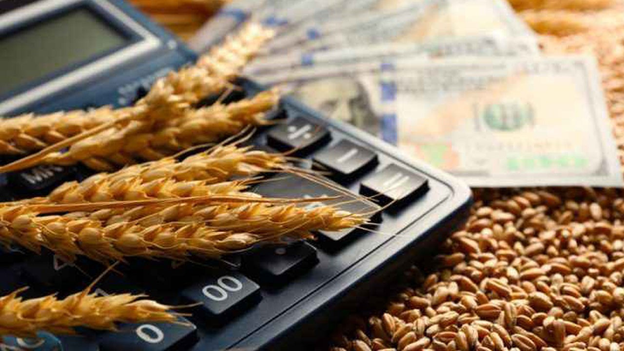 Emtia Piyasaları Fırtınada: Fed, Trump ve Zayıf İstihdam Verileri Fiyatları Salladı