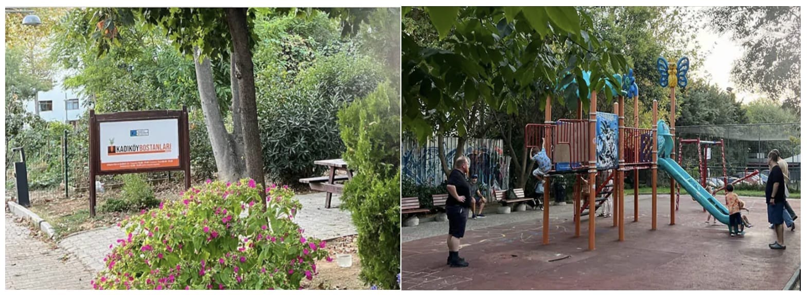 İstanbul’un göbeğinde peşkeş iddiası: Mahalleli ve çevreciler ayakta!