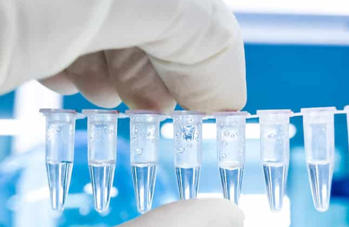 Ruslar, Mersin'e özel PCR test sistemi kuracak
