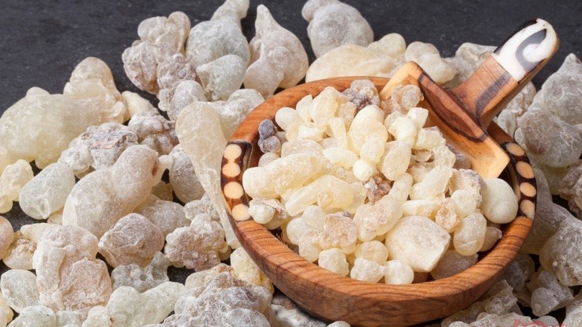 Sandaloz Sakızı Nedir? Nelere İyi Gelir?