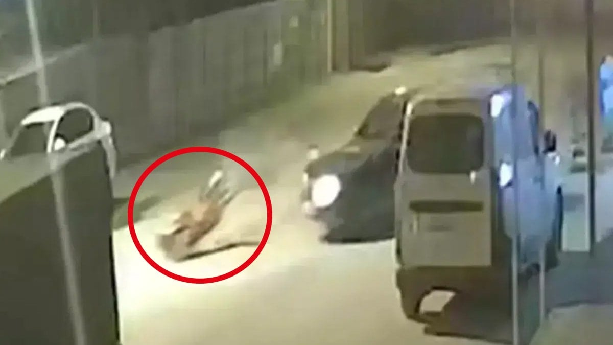 Dem Partili belediye başkanının oğlu polisten kaçarken belediye işçisini ezdi
