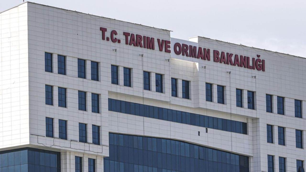 Bakanlık ifşa etti! Poşet çaylarda yasaklı boya bulundu, birçok üründe usulsüzlük çıktı