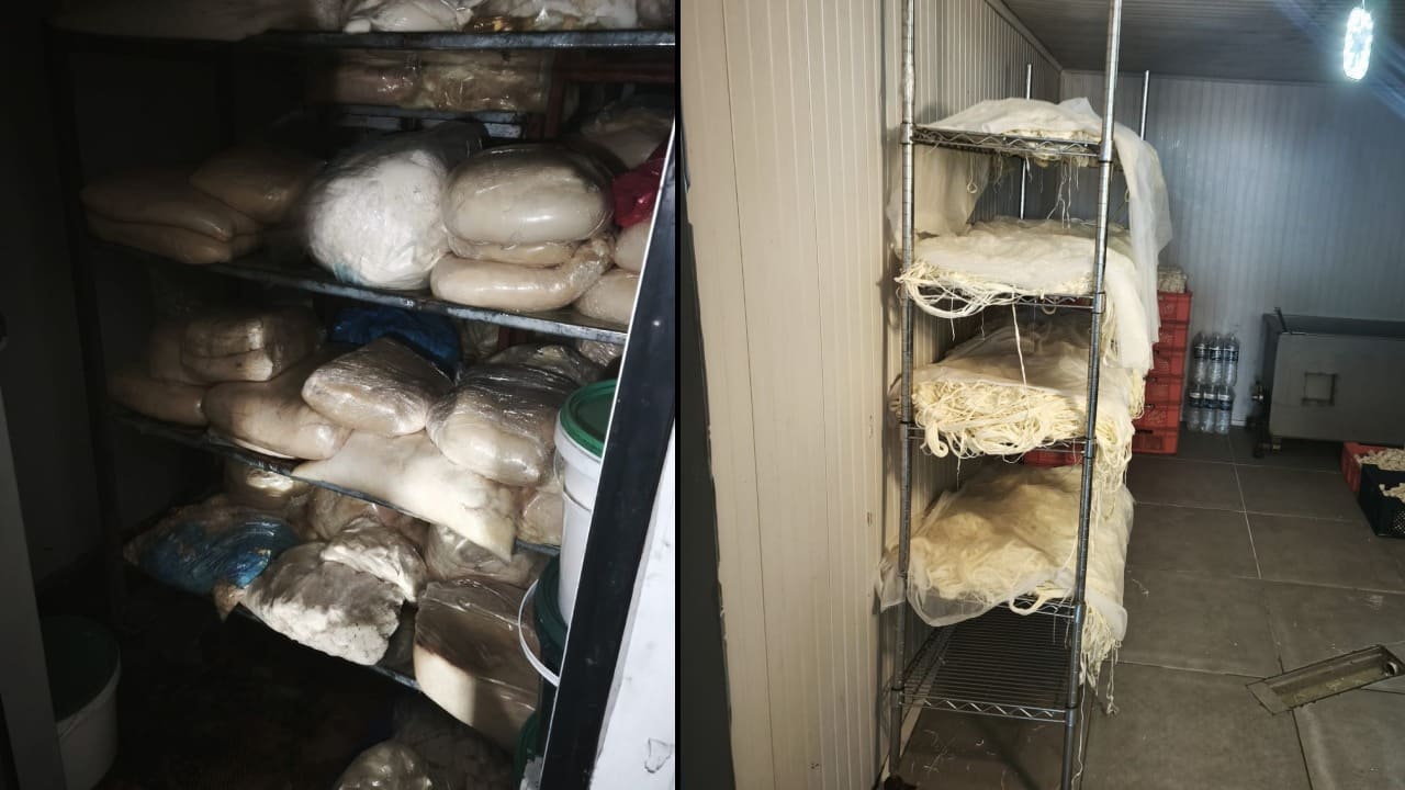 Ankara'da skandal! 9 ton bozuk süt ele geçirildi, işletme kapatıldı