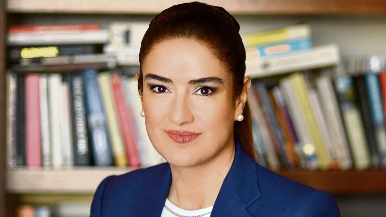 AHBAP soruşturmasında avukat Ece Güner'in ifadesi ortaya çıktı: 