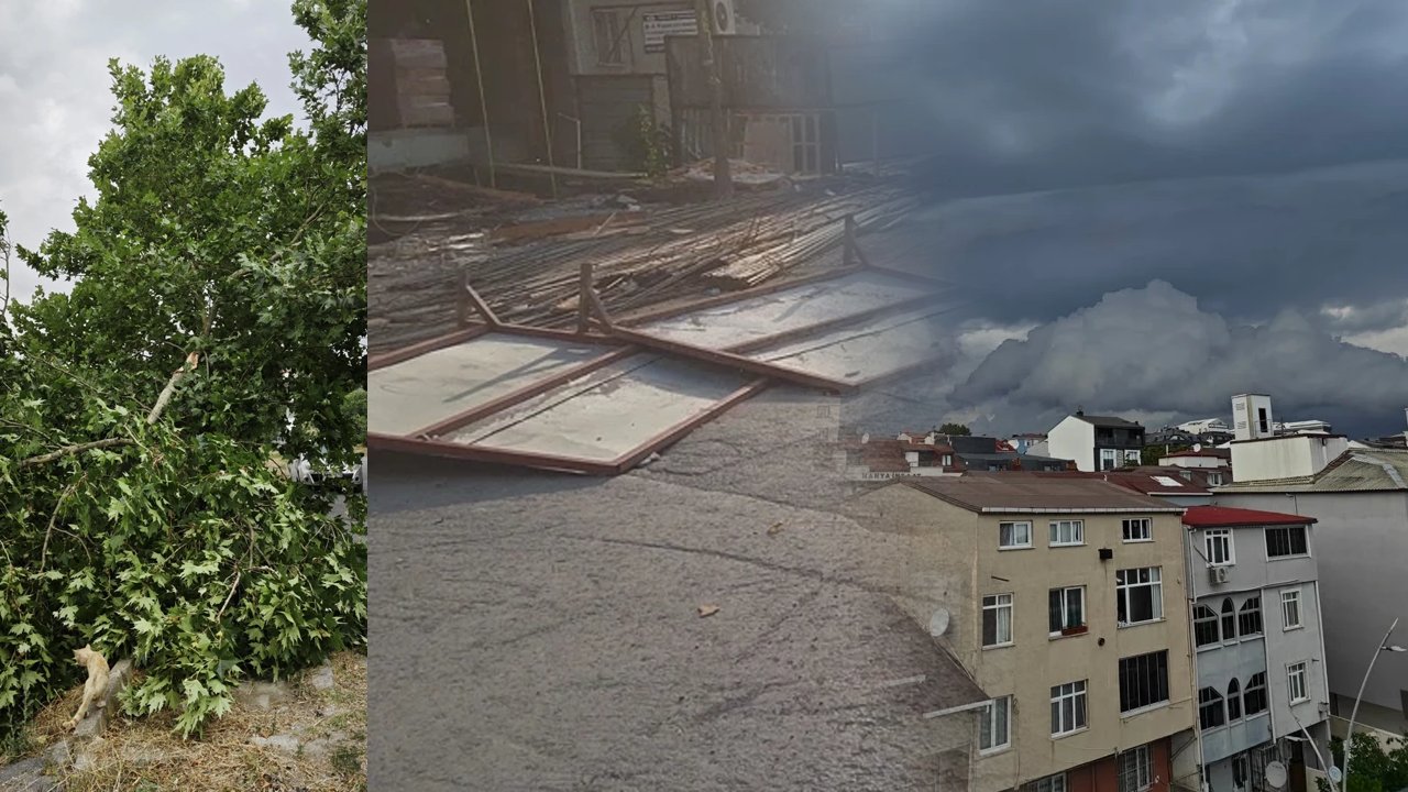 Meteoroloji uyarmıştı! İstanbul'da fırtına hayatı olumsuz etkiledi, ağaçlar devrildi