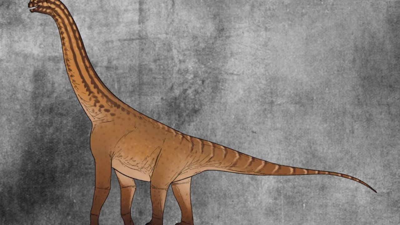 Hindistan'da bulunan tuhaf fosil dinozorların tarihini değiştirdi