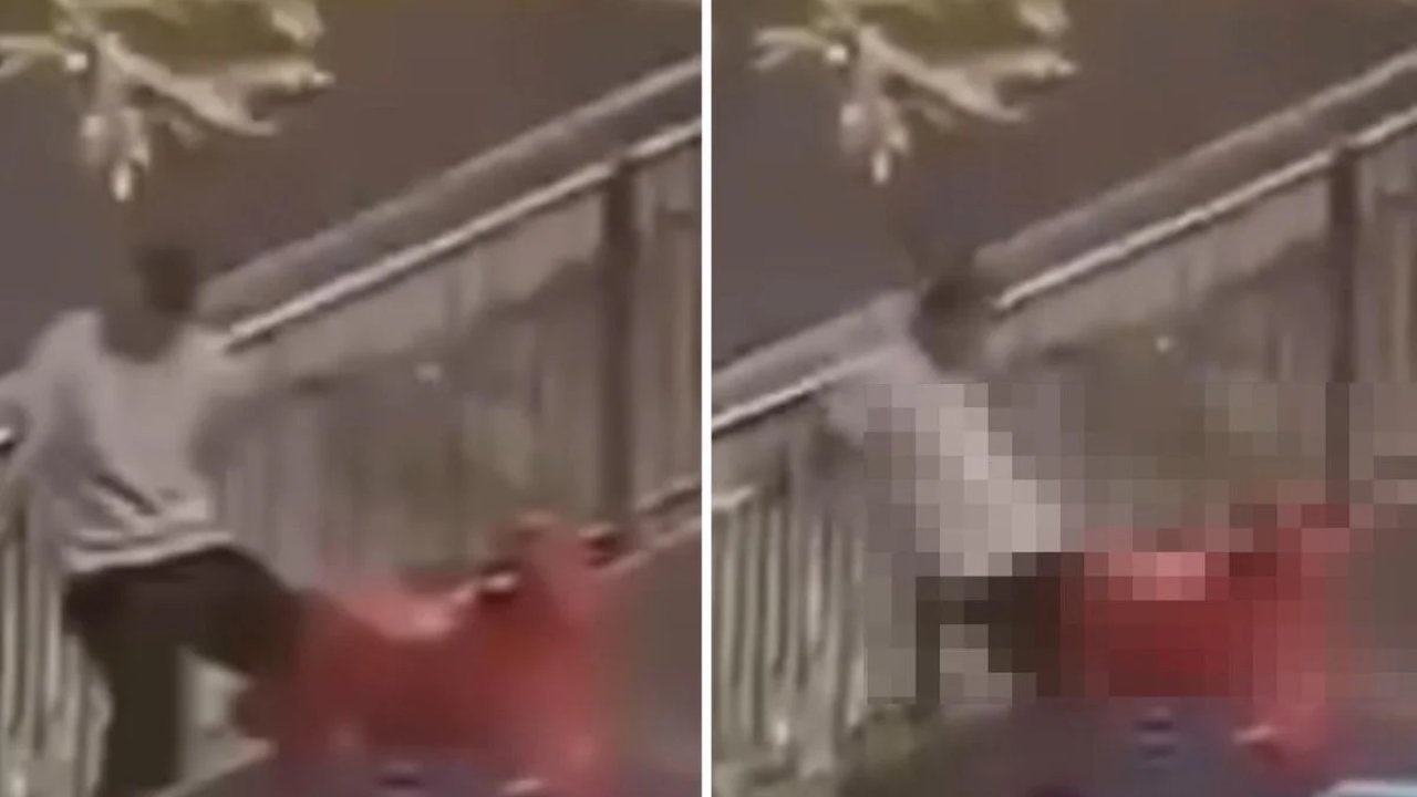 Çocuk parkında akılalmaz görüntüler! Sosyal medyada büyük tepki topladı