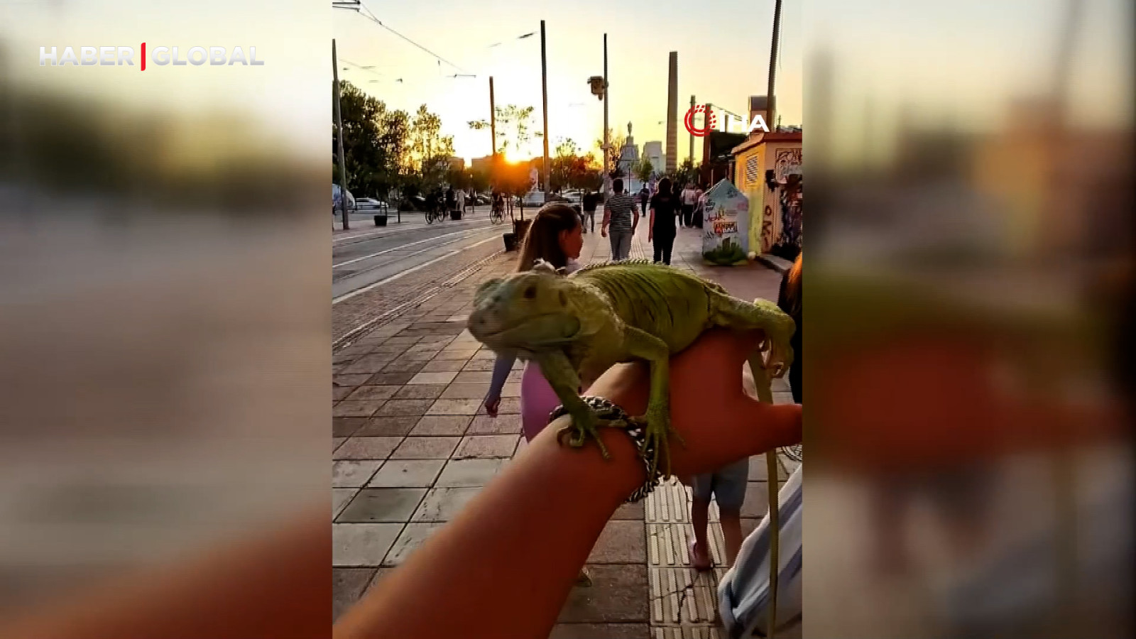 Evcil iguanasıyla sokağa çıktı, görenler dönüp bir daha baktı!