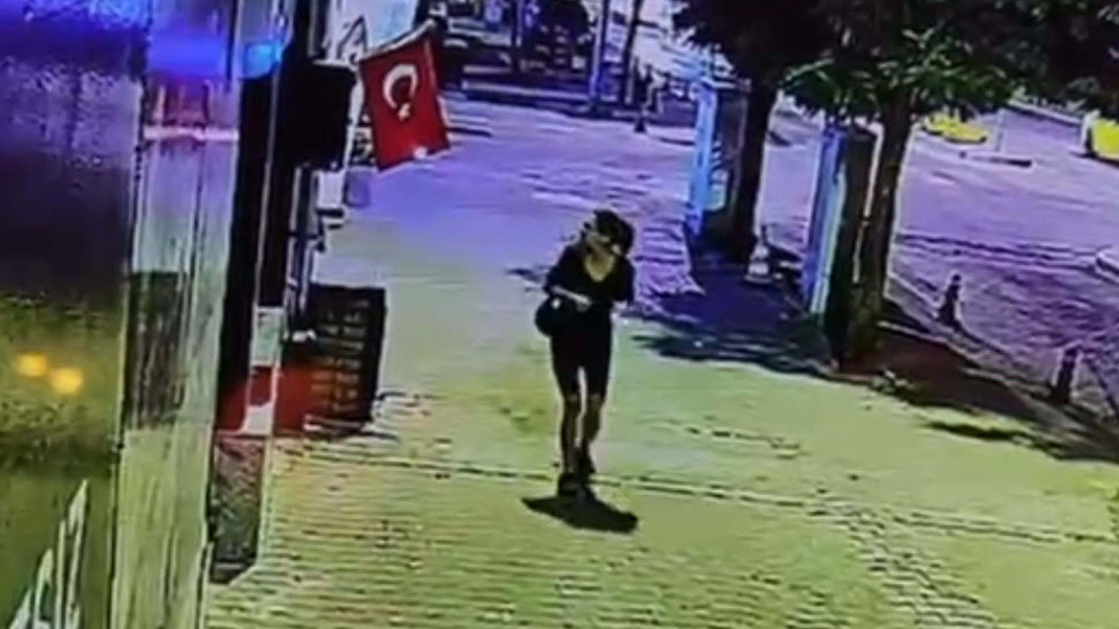 Muğla’da Türk Bayrağını Yakan Kadın Gözaltına Alındı!