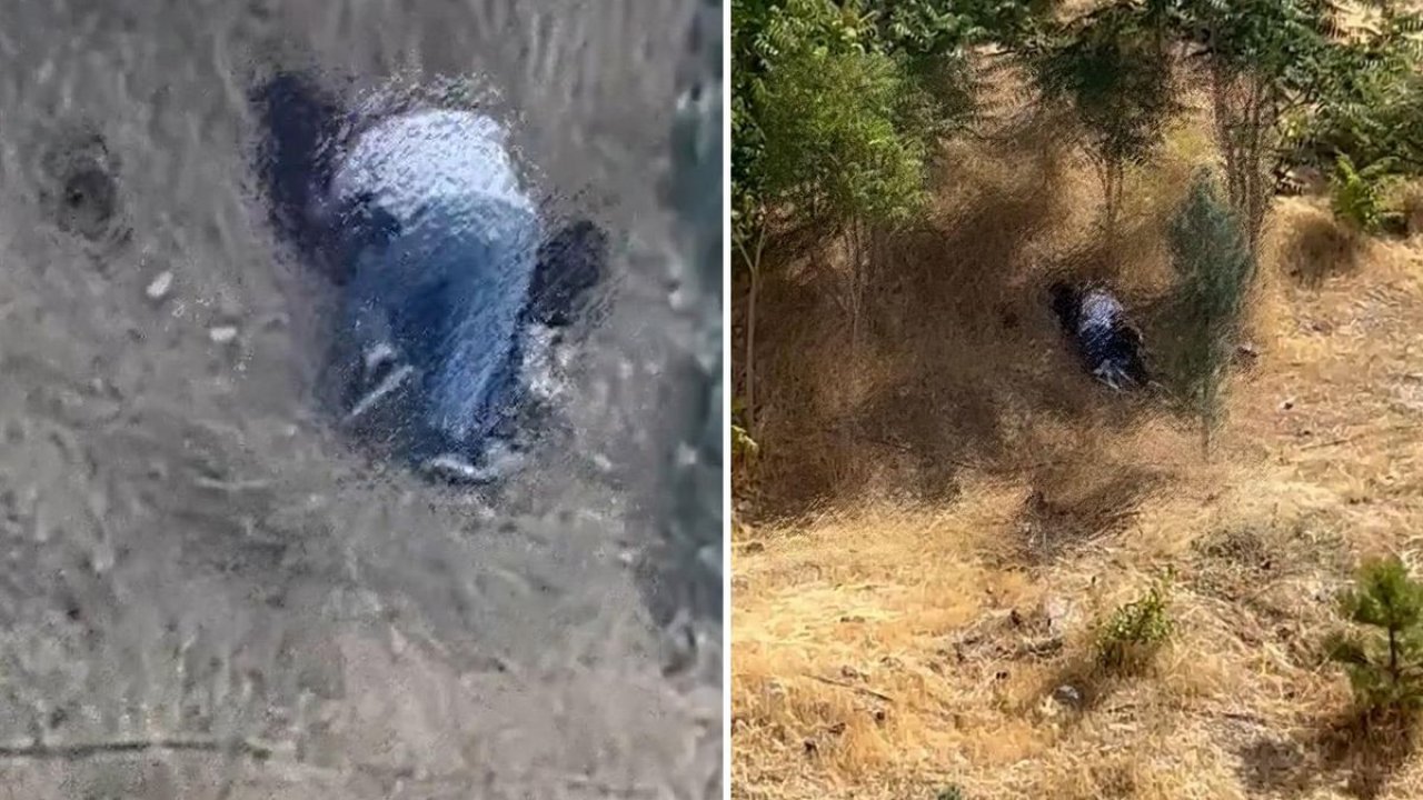 Ankara’da Parkta İki Kişinin Uygunsuz Görüntüleri Rahatsızlık Yarattı! Vatandaşlar Polisi Aradı!
