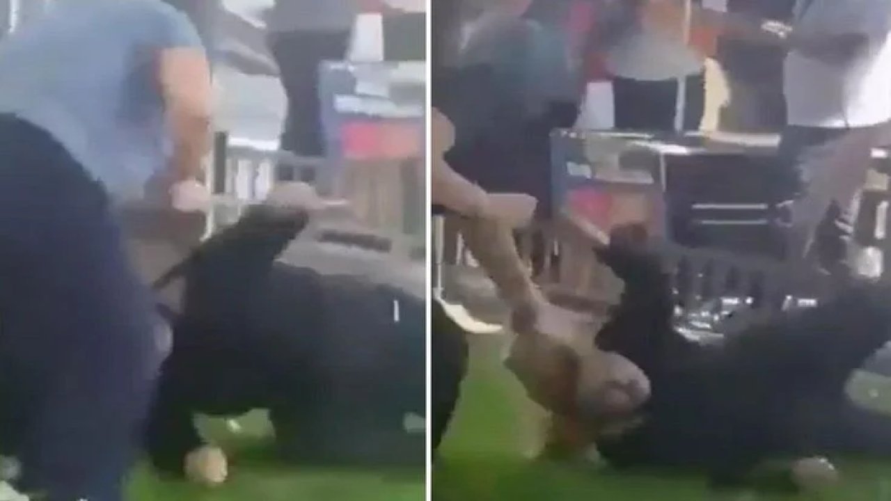 Sokak ortasında dehşet! İki kadın, bir kadına saldırdı!