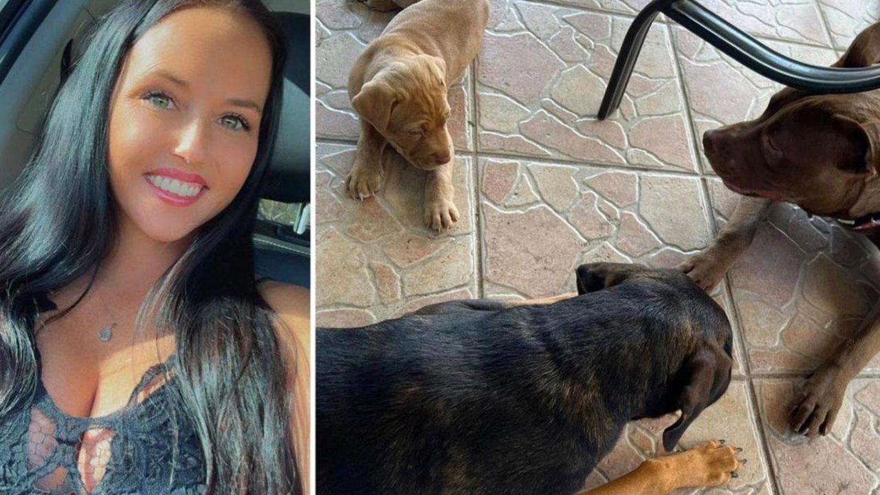 ABD'de İki Çocuk Annesi Kadın, Eşi Tarafından Köpeğiyle İlişkiye Girerken Yakalandı!