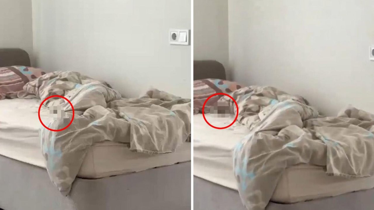 KYK Yurdunda Olay Yaratan Görüntü! Ranzaların Üzerinde Fare Görüldü!