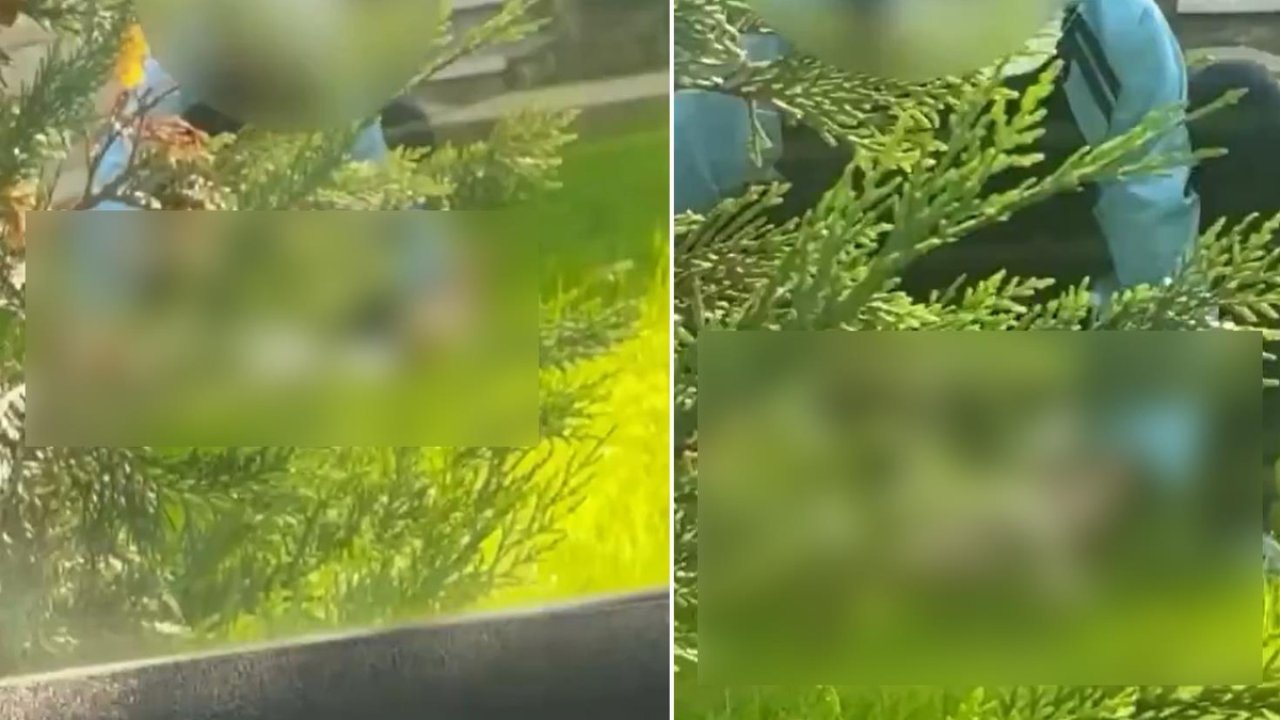 Şişli’de Tepki Çeken Olay! Köpeğe Yönelik İstismar Kameraya Yansıdı!