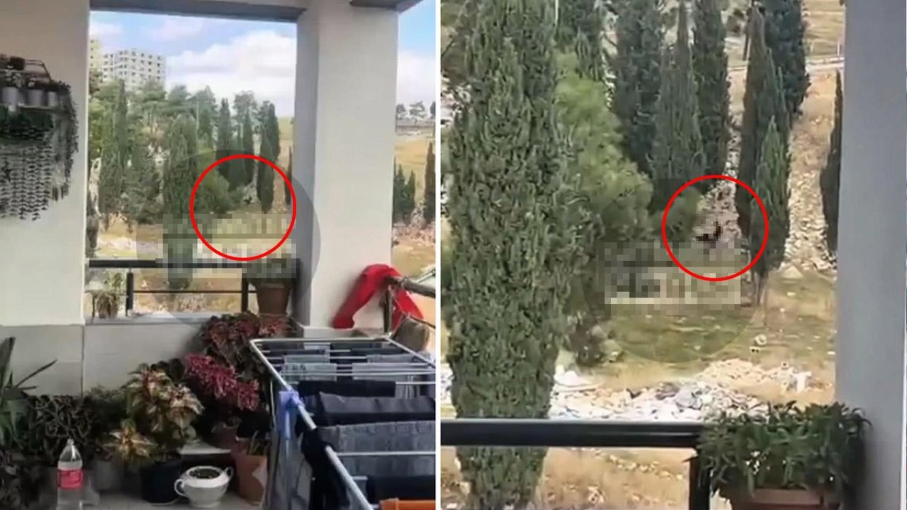 Gaziantep’te Sokak Ortasındaki Cinsel İlişkiye Girdiler: Mahalleli Önlem İstiyor!